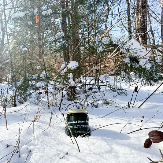 Frosted Forest Trail